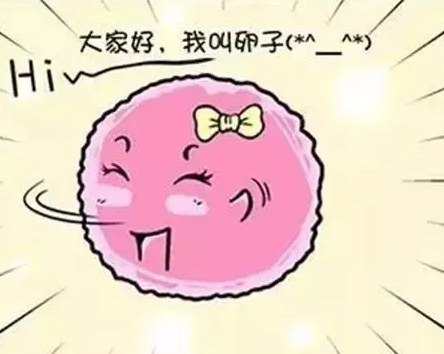 重慶送子鳥醫(yī)院