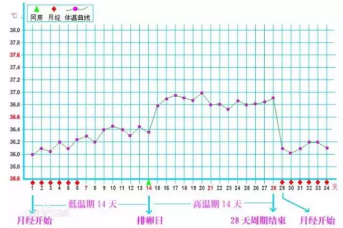 重慶送子鳥醫院