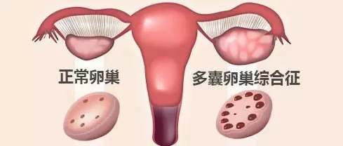 重慶送子鳥醫(yī)院