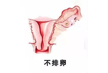 重慶送子鳥醫(yī)院