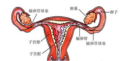 重慶送子鳥醫(yī)院