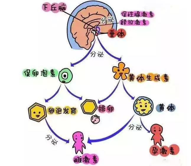 重慶送子鳥醫院