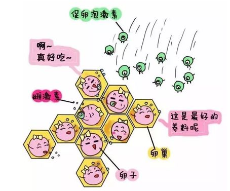 重慶送子鳥醫院