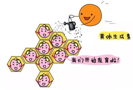 重慶送子鳥醫院