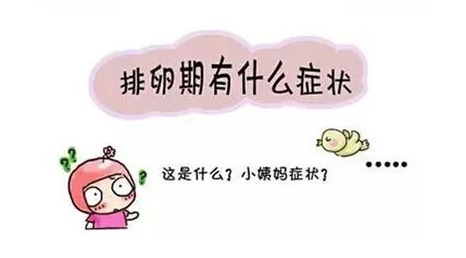 重慶送子鳥(niǎo)醫(yī)院
