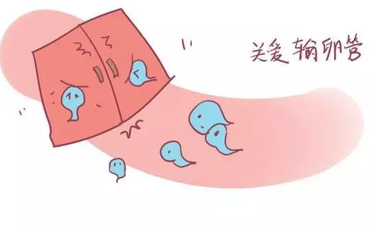 重慶送子鳥醫(yī)院