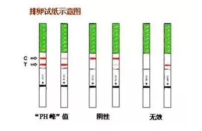 重慶送子鳥醫(yī)院