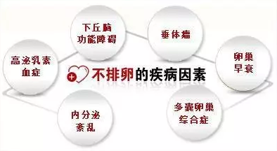 重慶送子鳥(niǎo)醫(yī)院