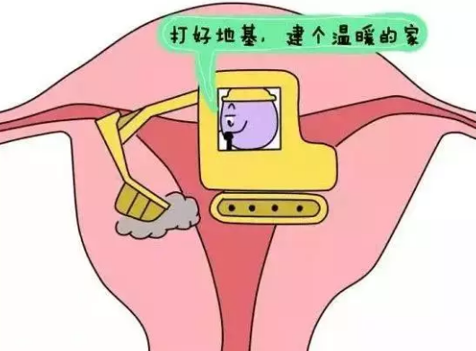 重慶送子鳥醫(yī)院