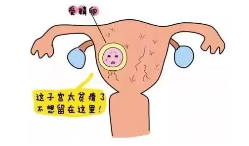 重慶送子鳥醫(yī)院