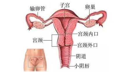 重慶送子鳥醫(yī)院