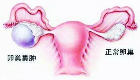 重慶送子鳥醫(yī)院