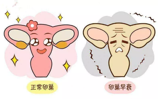 重慶送子鳥醫院