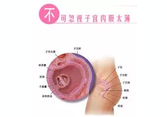 重慶送子鳥醫(yī)院