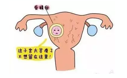 重慶送子鳥醫(yī)院