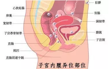 重慶送子鳥醫(yī)院