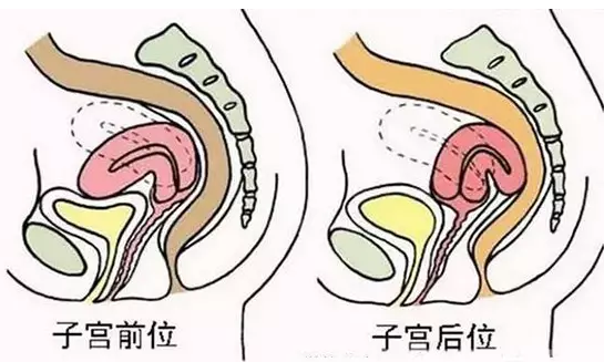 重慶送子鳥醫(yī)院