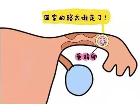 重慶送子鳥醫(yī)院