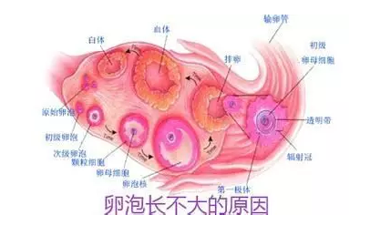 重慶送子鳥醫(yī)院